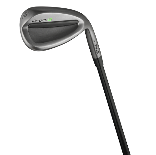 Ping Prodi G Wedge